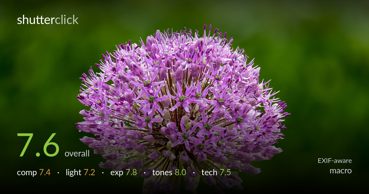 macro photo critique card
