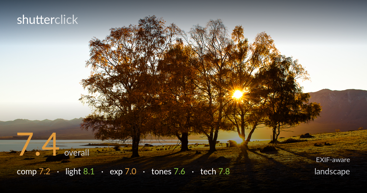 landscape photo critique card