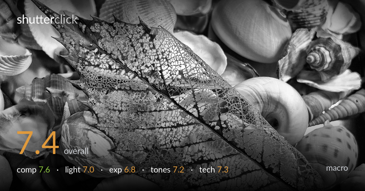 macro photo critique card