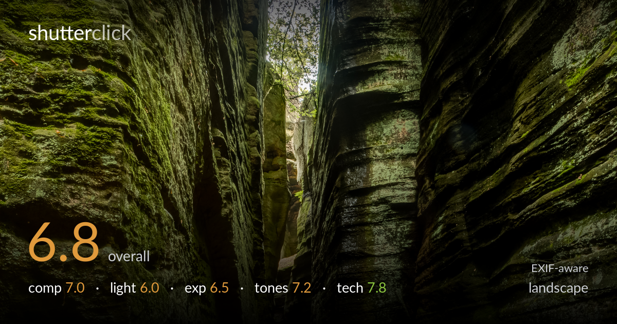 landscape photo critique card