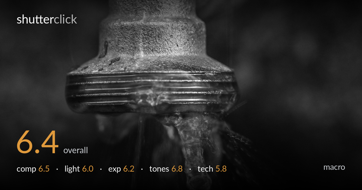 macro photo critique card