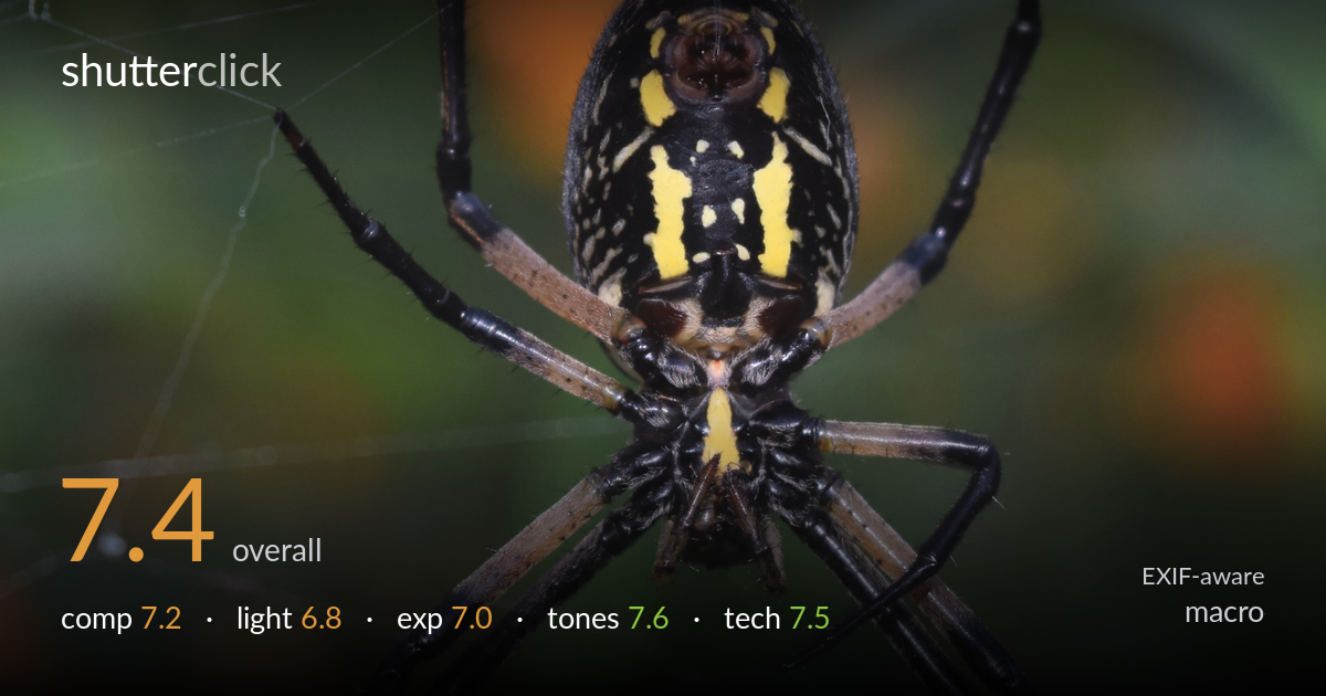 macro photo critique card