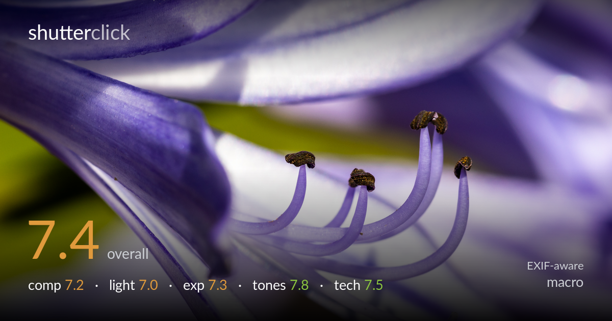 macro photo critique card