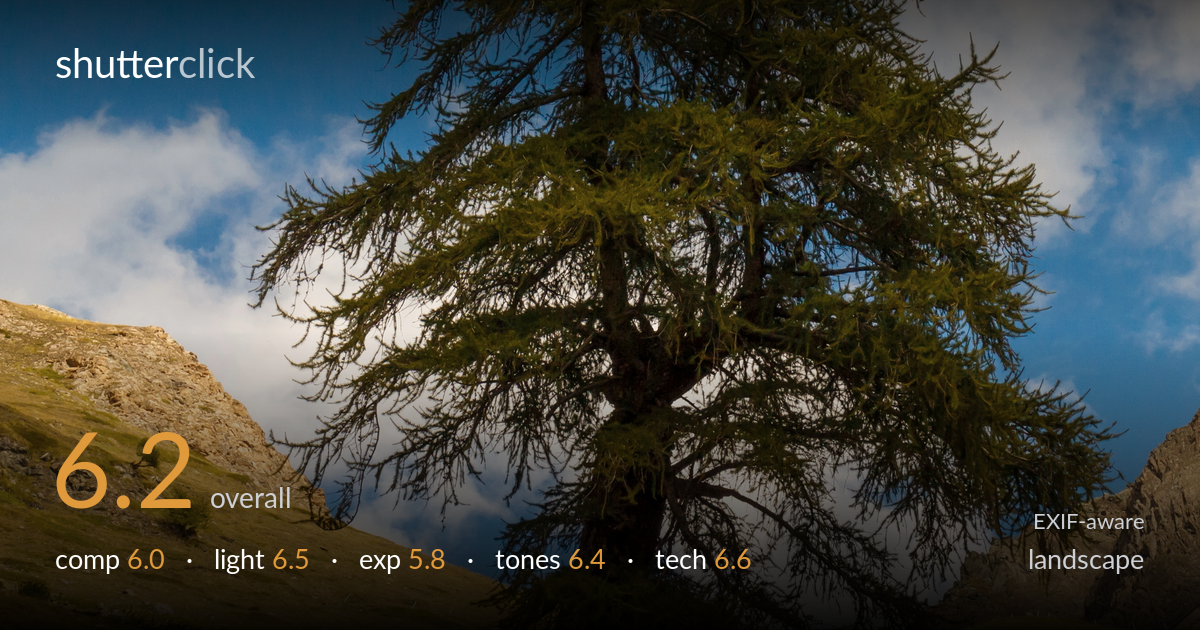landscape photo critique card