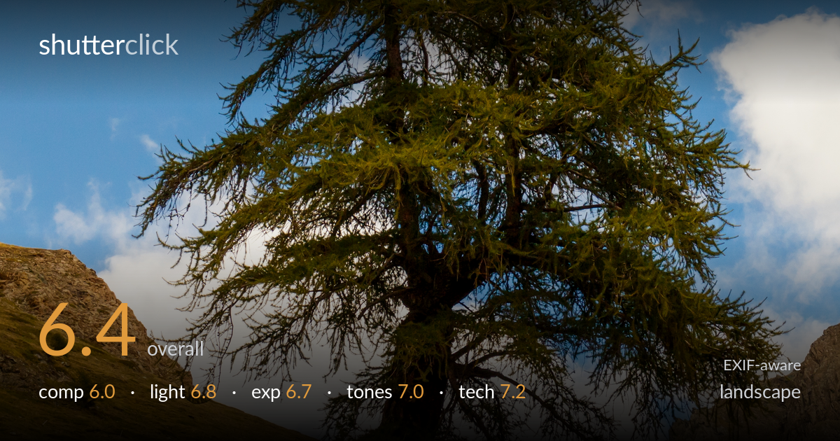 landscape photo critique card