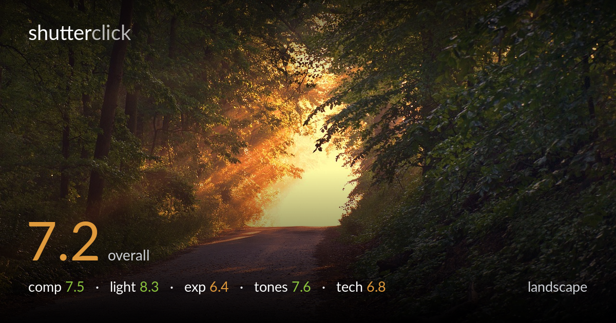 landscape photo critique card
