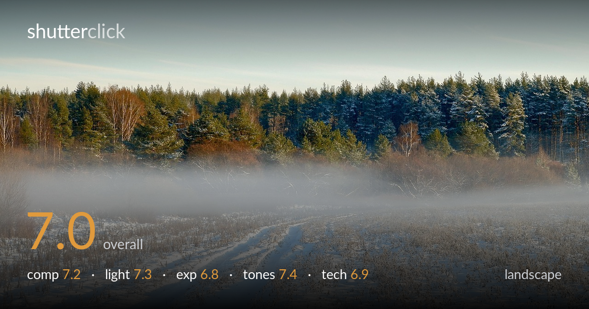 landscape photo critique card