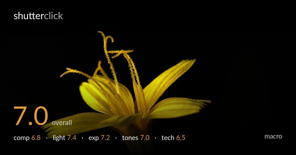 macro photo critique card