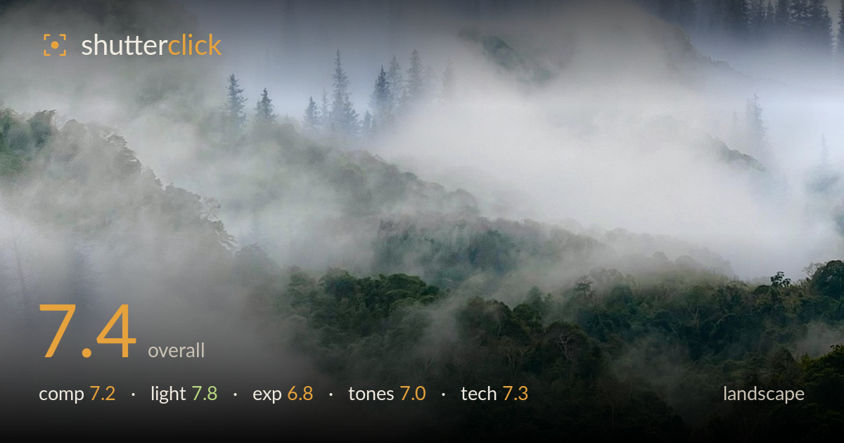 landscape photo critique card