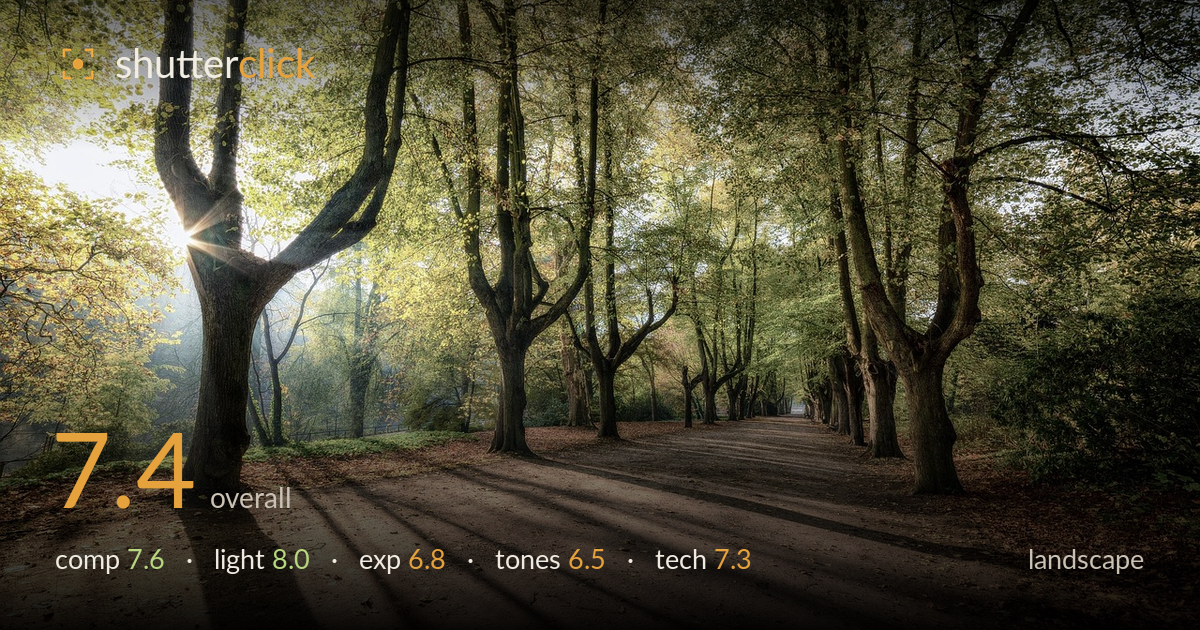 landscape photo critique card