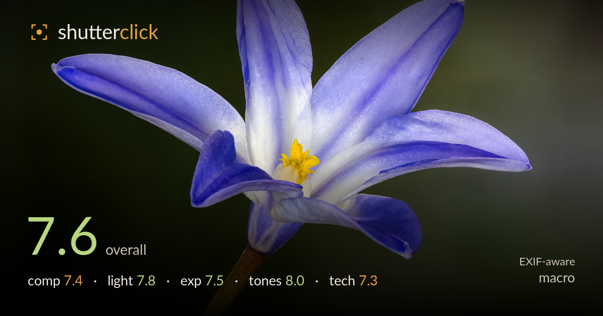 macro photo critique card