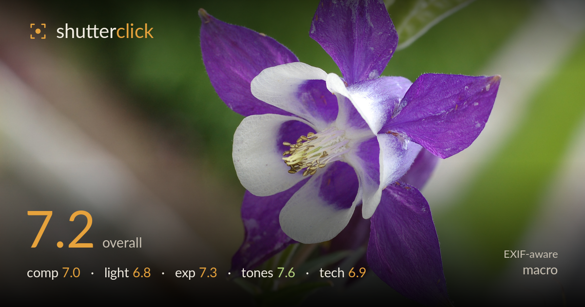 macro photo critique card