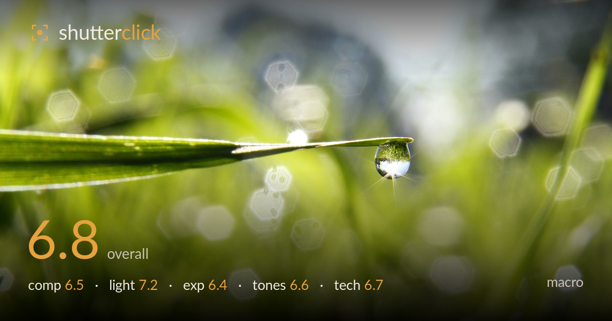 macro photo critique card
