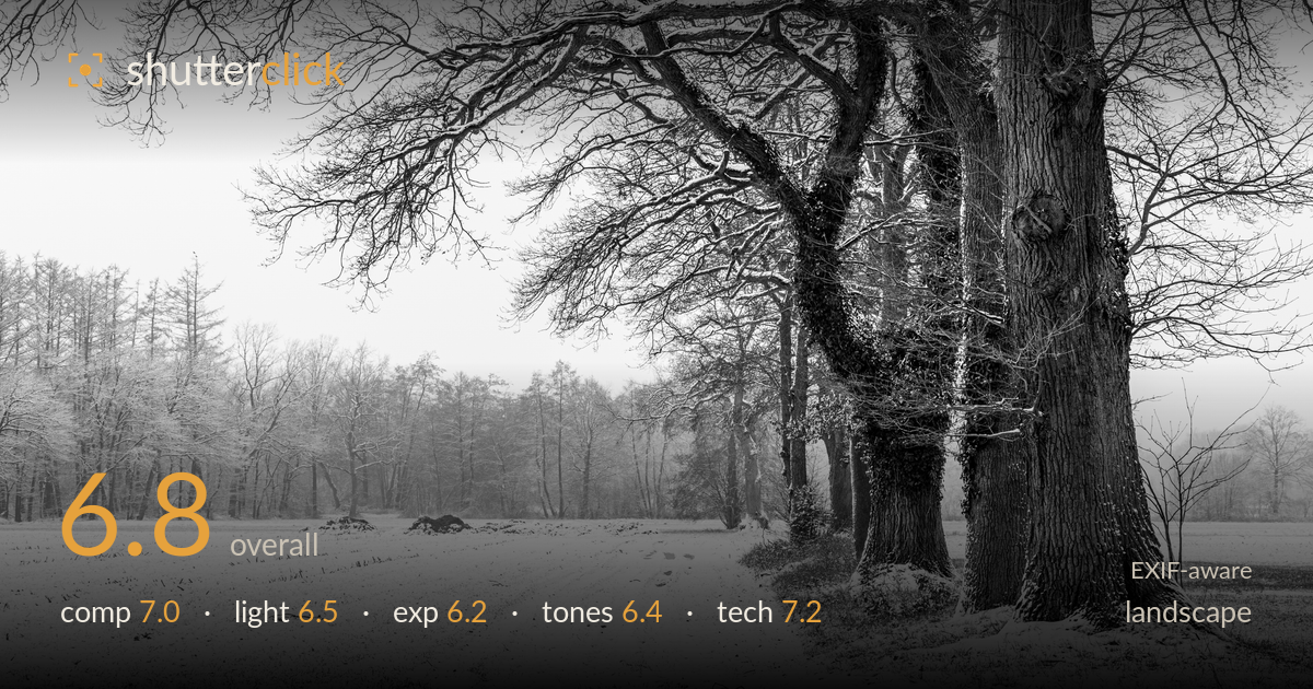 landscape photo critique card