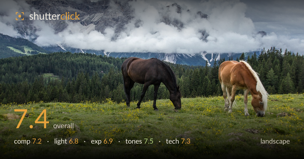landscape photo critique card