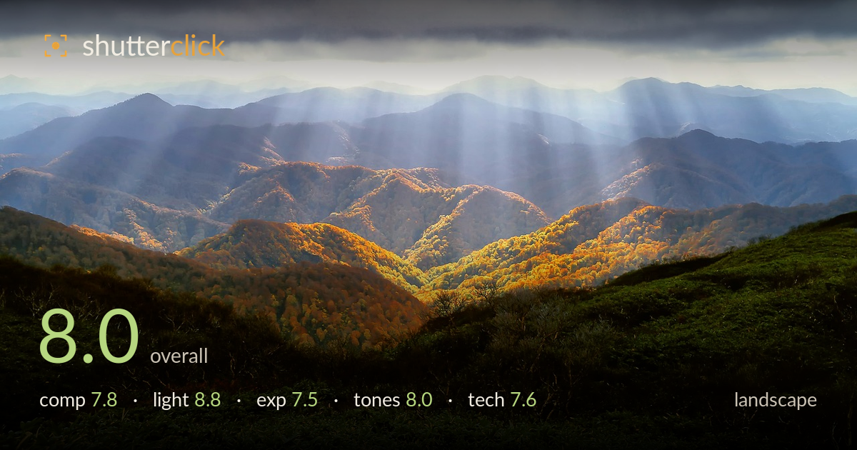 landscape photo critique card