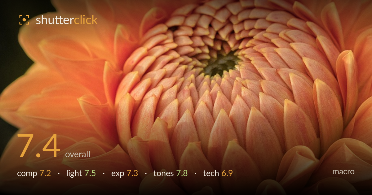 macro photo critique card