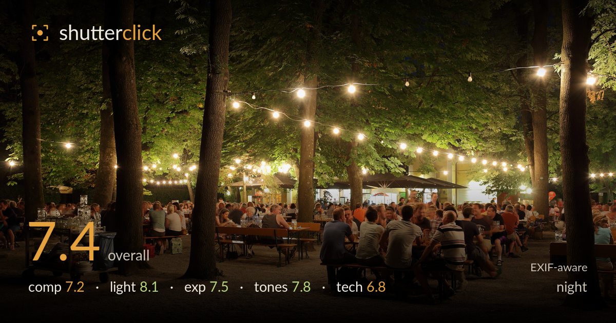 night photo critique card