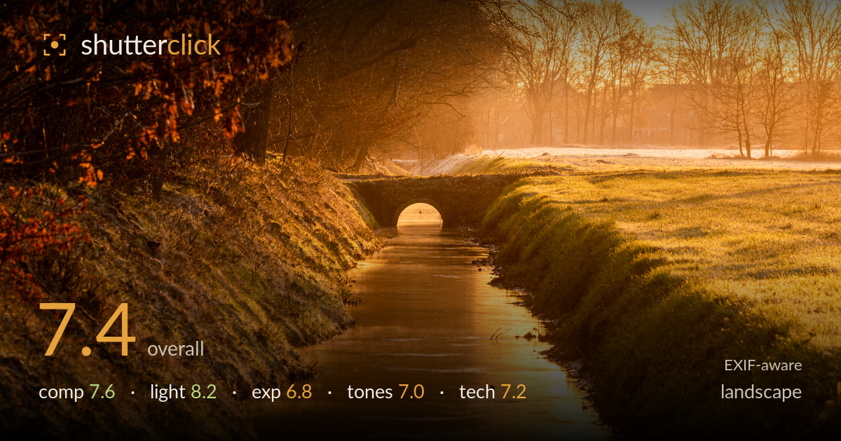 landscape photo critique card