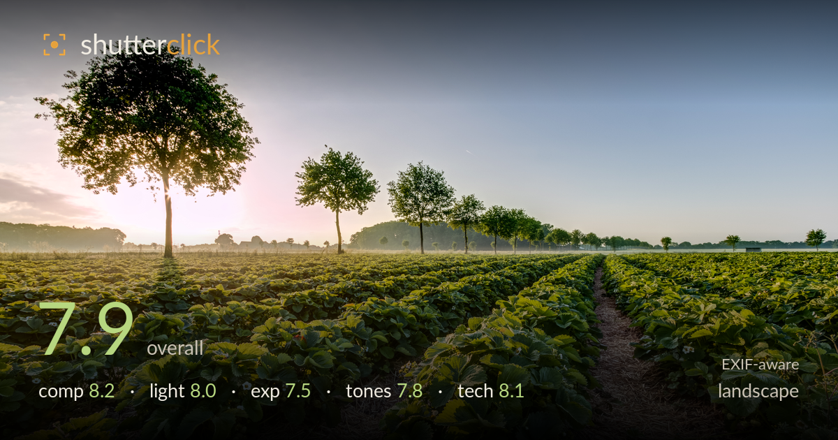landscape photo critique card
