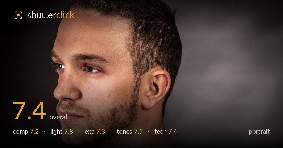 portrait photo critique card