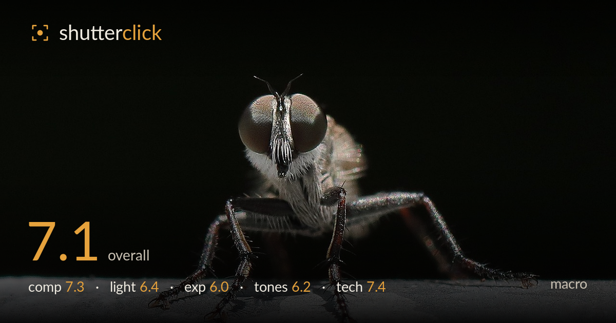 macro photo critique card