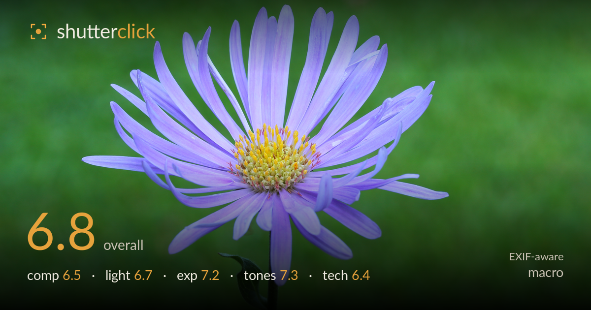 macro photo critique card
