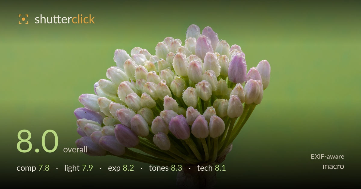 macro photo critique card