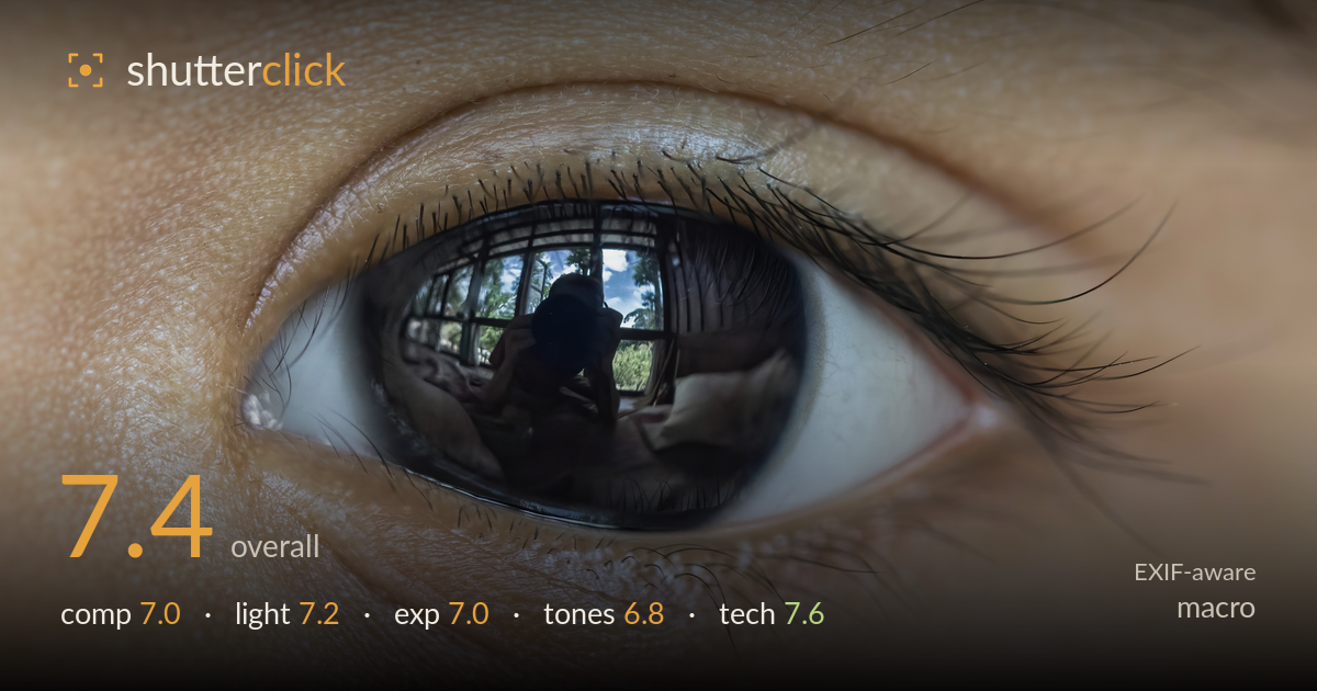 macro photo critique card