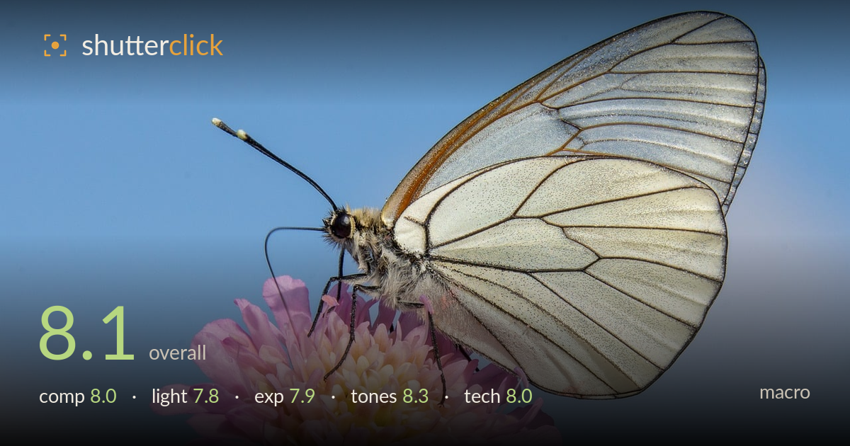 macro photo critique card