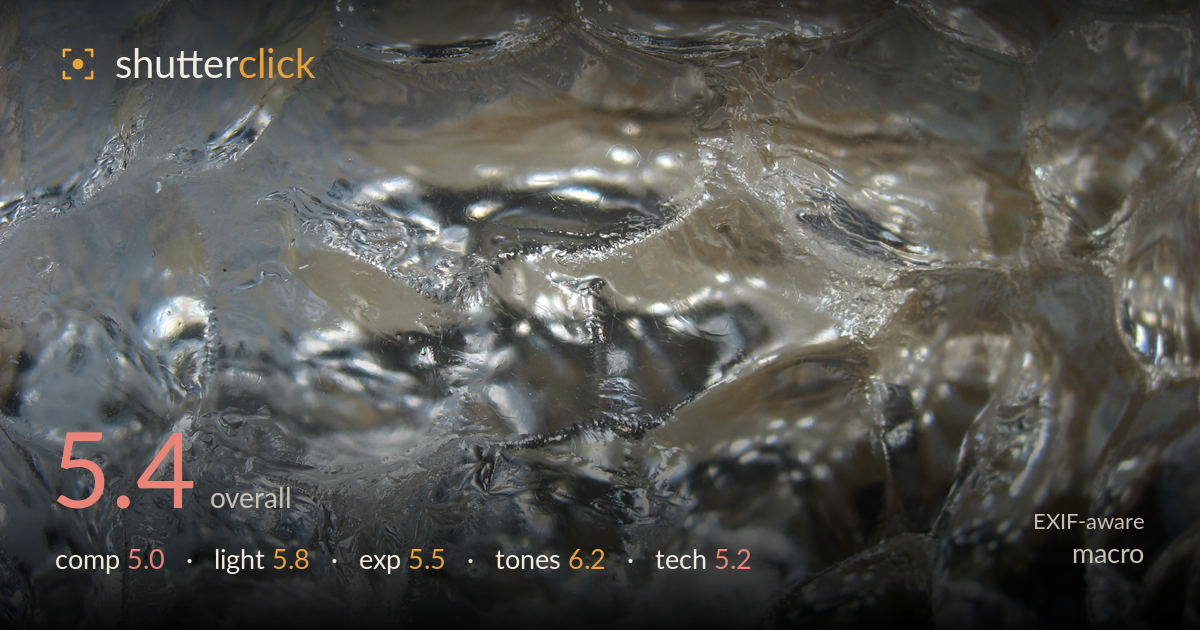 macro photo critique card