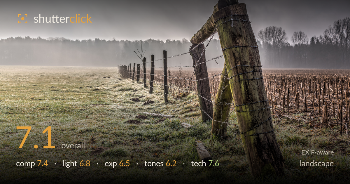 landscape photo critique card