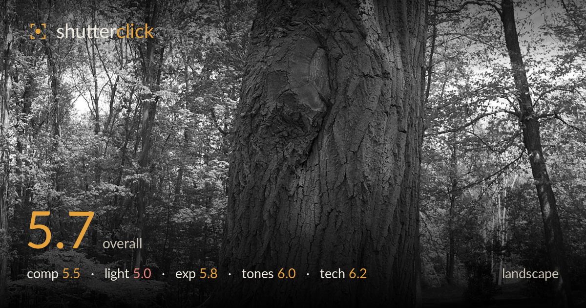 landscape photo critique card
