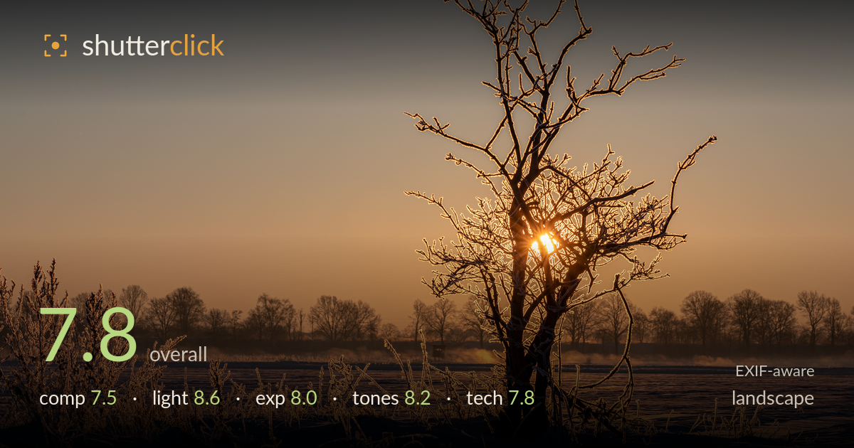 landscape photo critique card