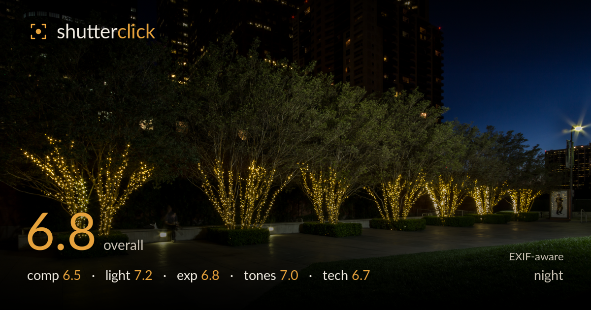 night photo critique card
