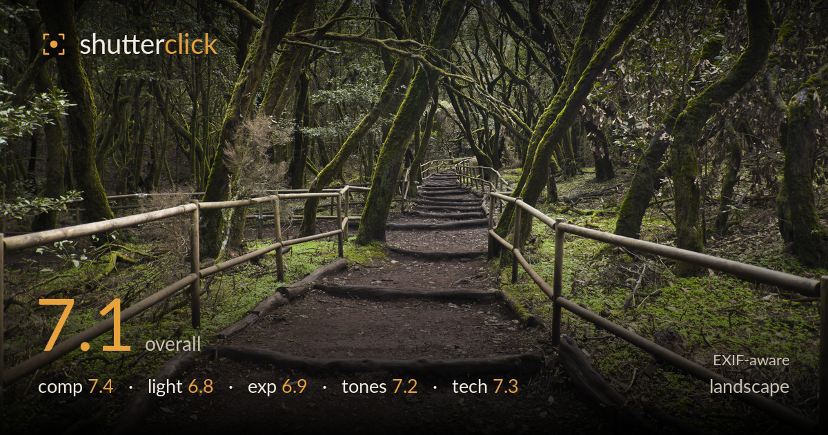 landscape photo critique card