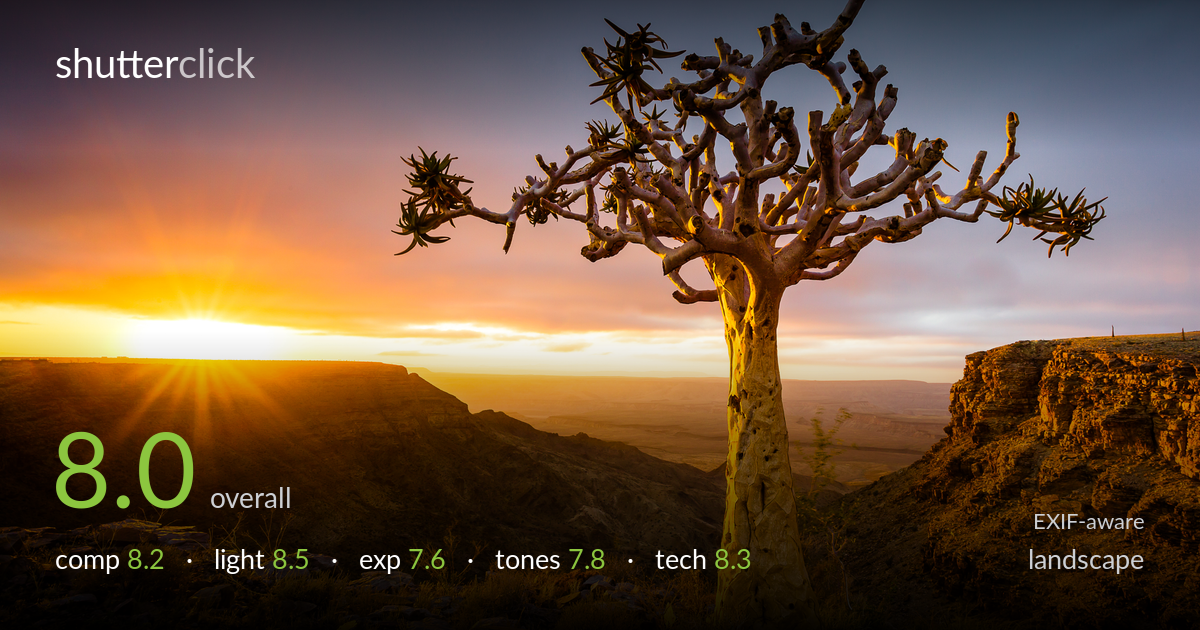 landscape photo critique card