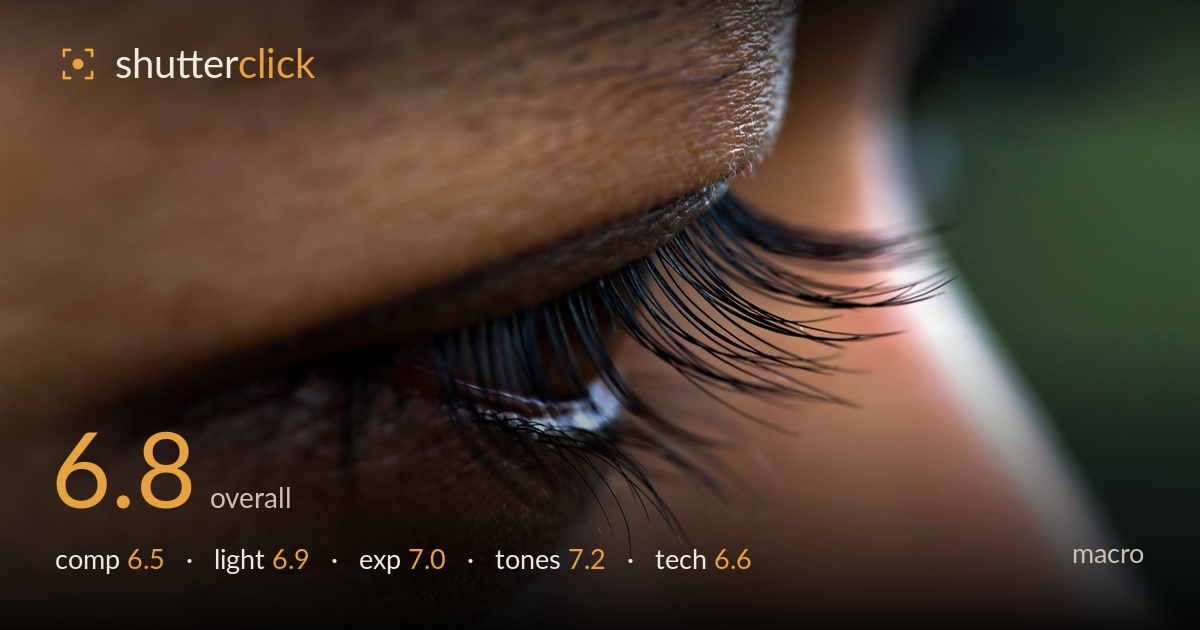 macro photo critique card