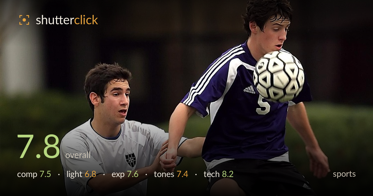 sports photo critique card