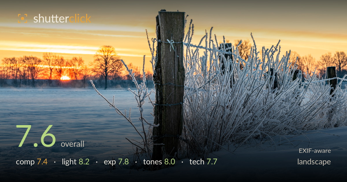 landscape photo critique card
