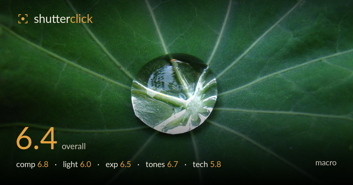 macro photo critique card