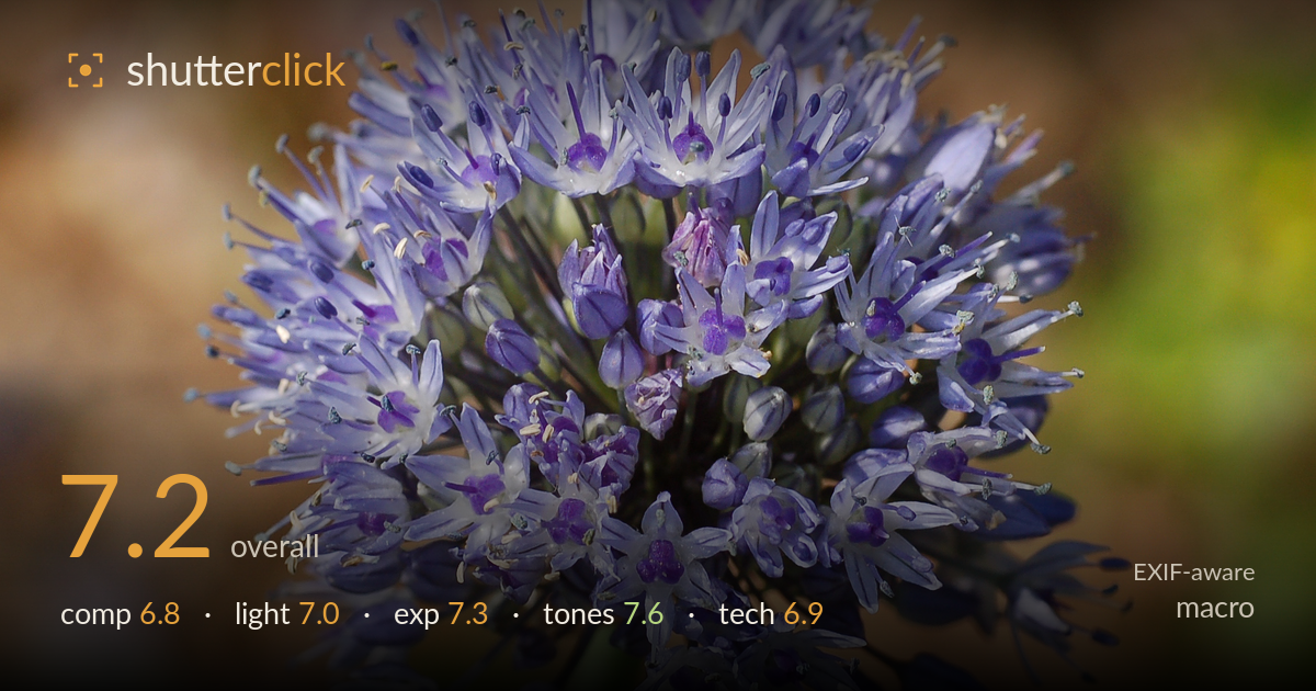 macro photo critique card