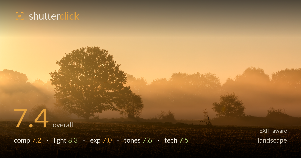 landscape photo critique card