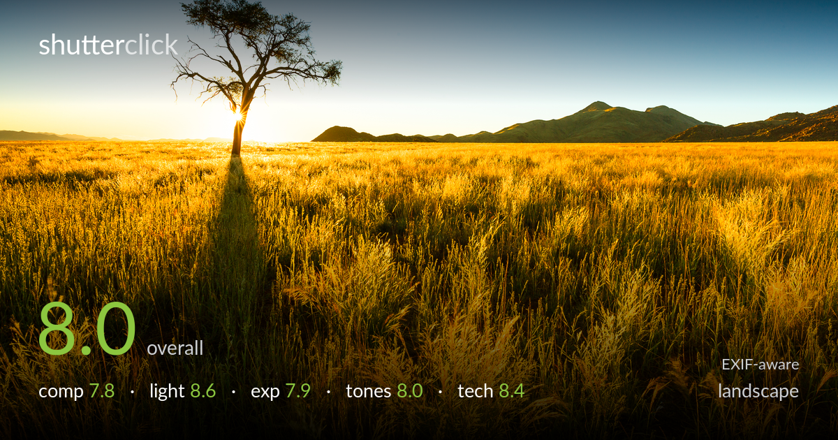 landscape photo critique card