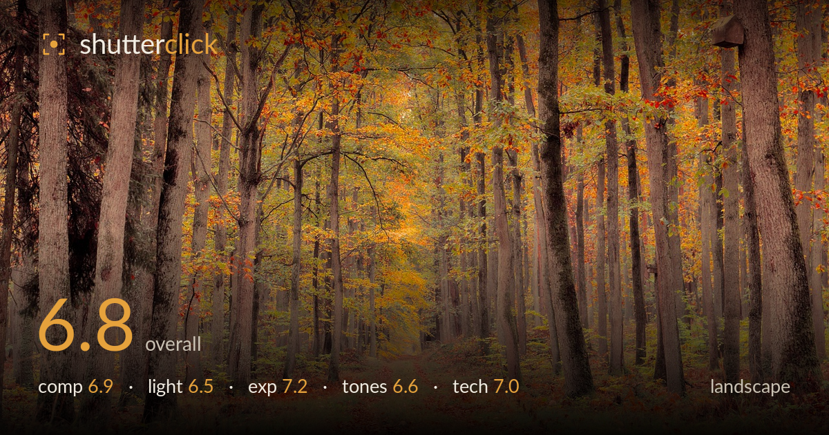 landscape photo critique card