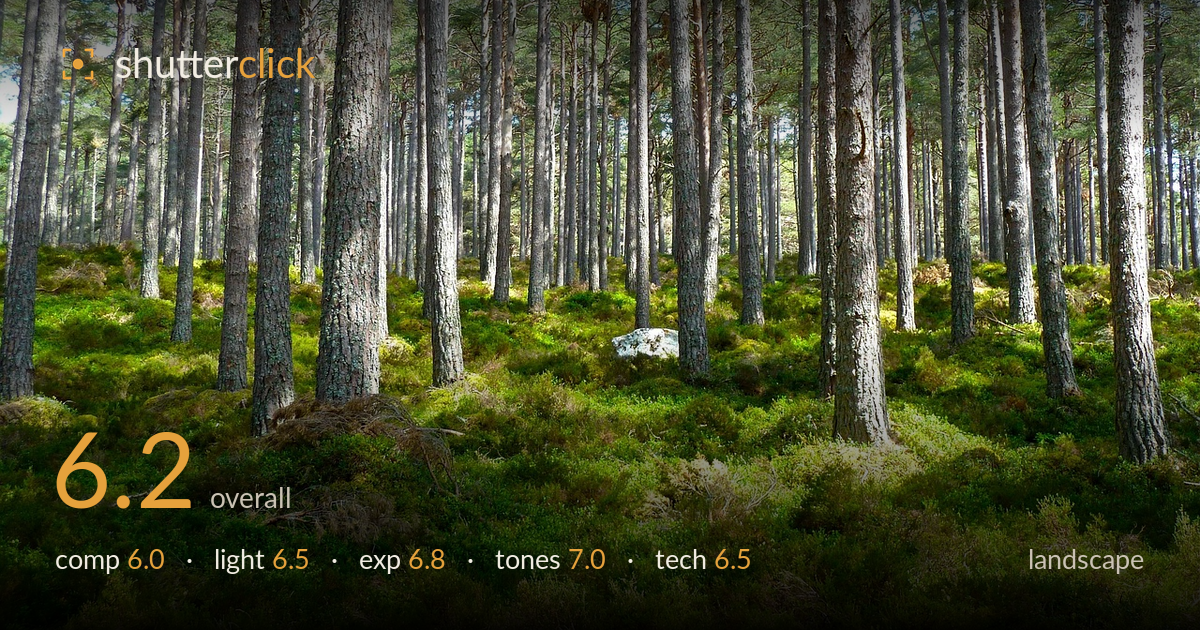 landscape photo critique card