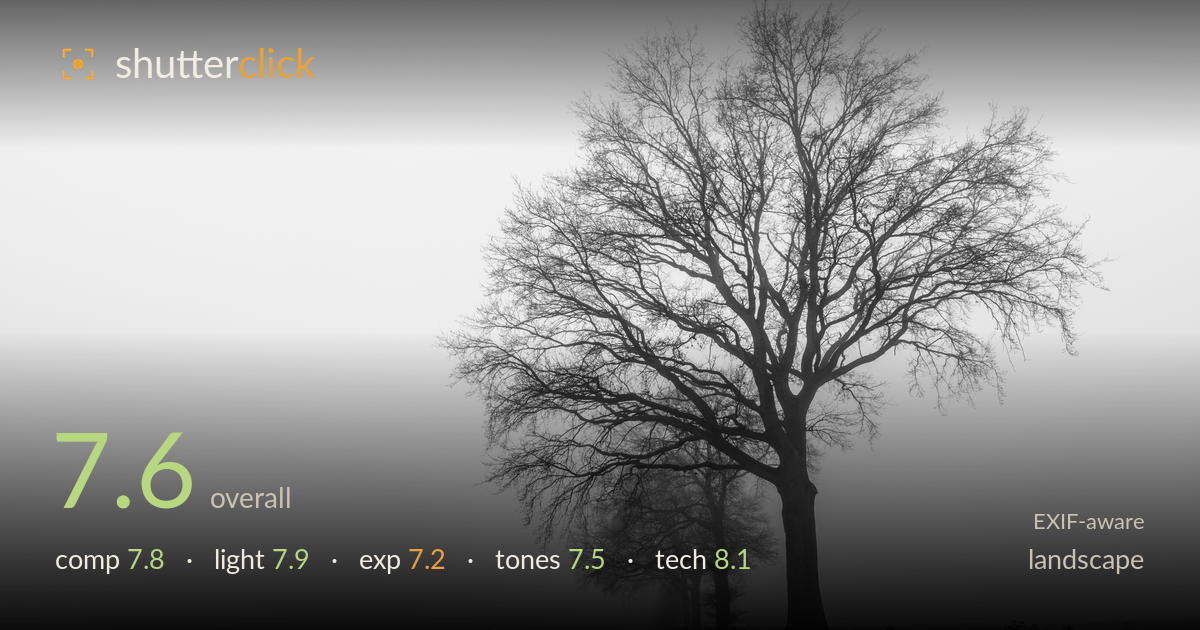landscape photo critique card