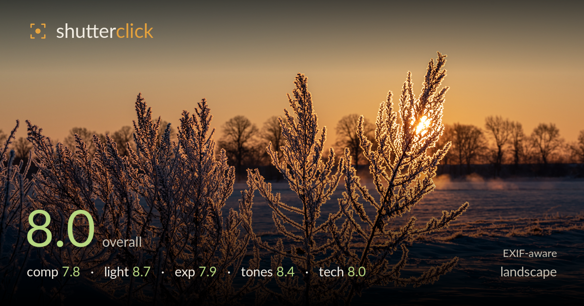 landscape photo critique card