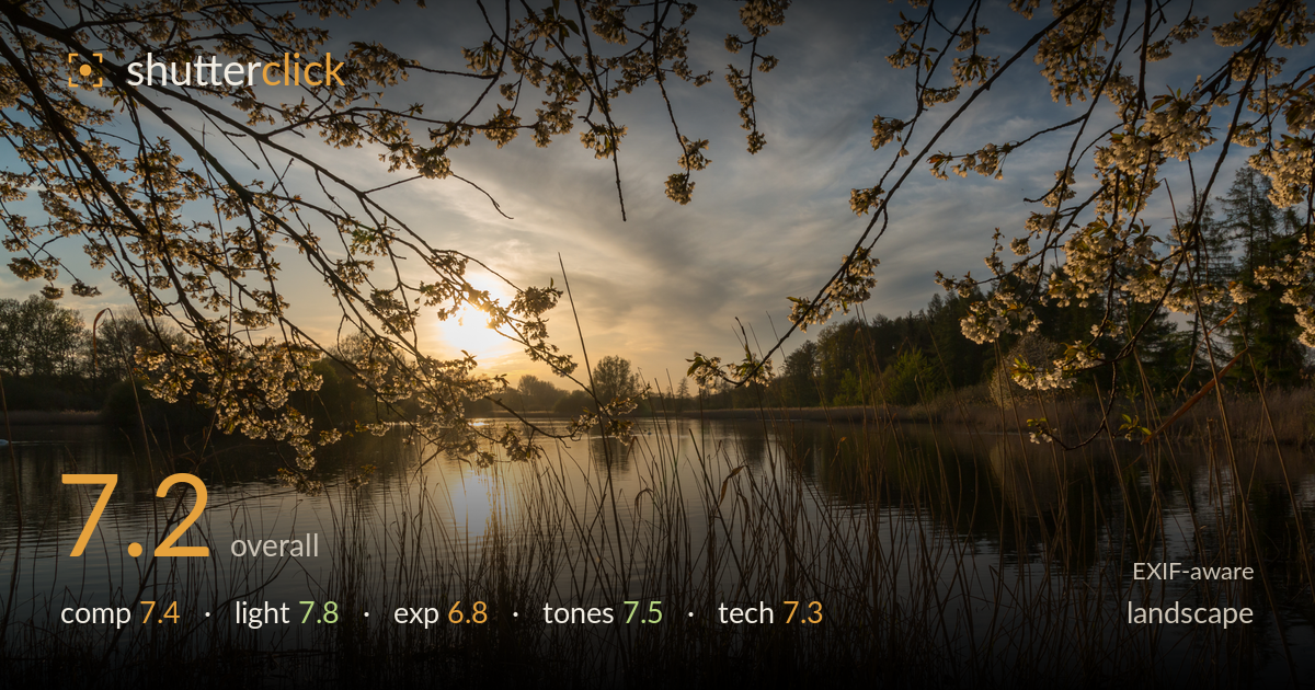 landscape photo critique card