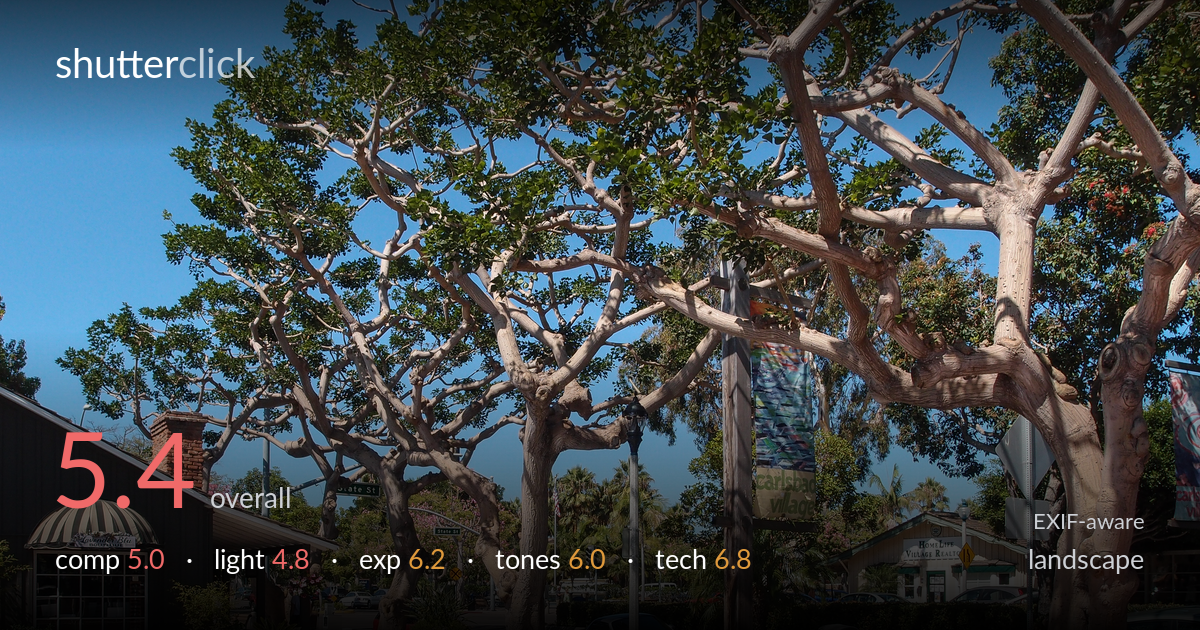 landscape photo critique card